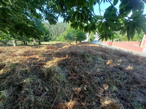 Terreno en camino de la Iglesia s/n  sn