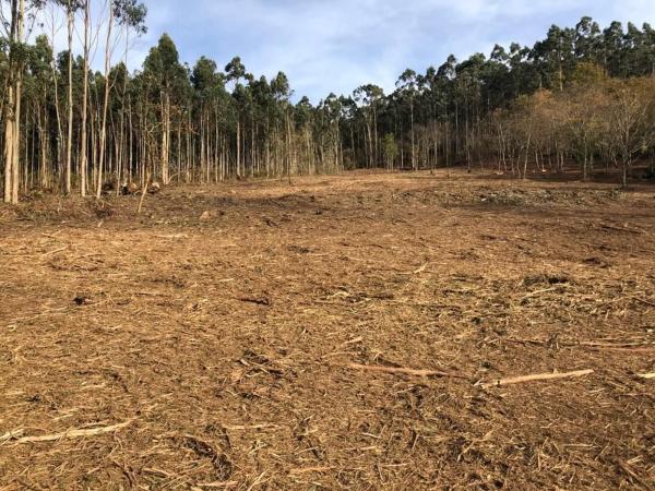 Terreno en Lugar Sabaido, 5