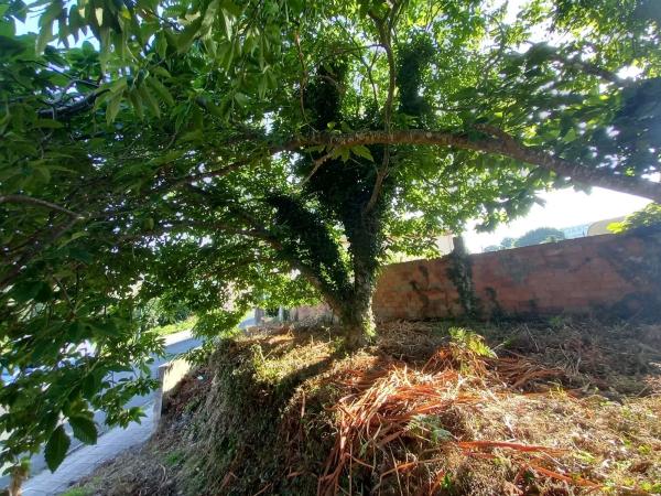 Terreno en camino de la Iglesia s/n  sn