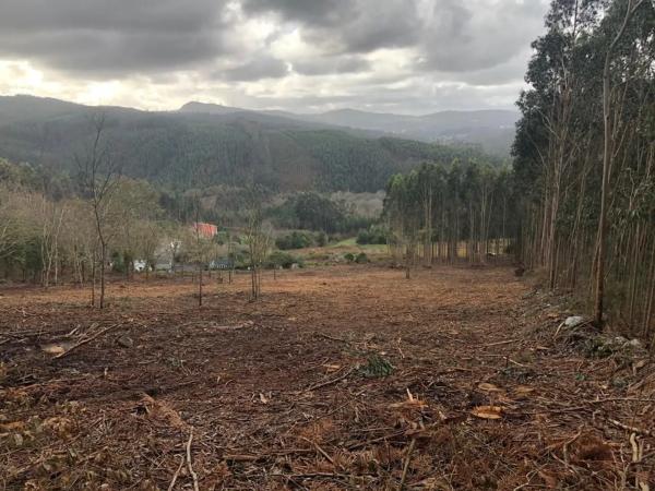 Terreno en Lugar Sabaido, 5