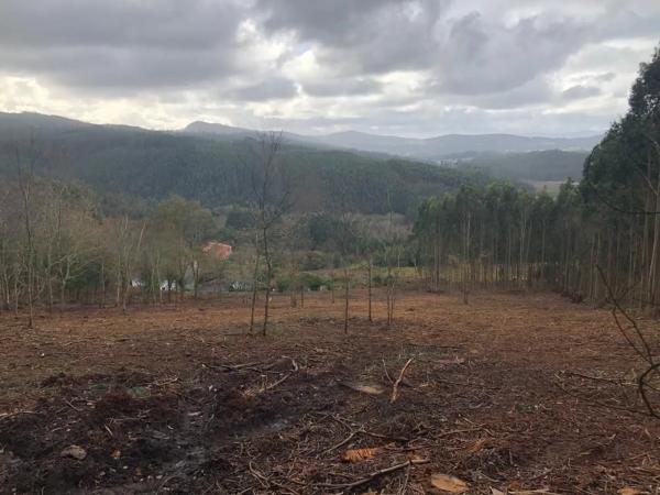 Terreno en Lugar Sabaido, 5