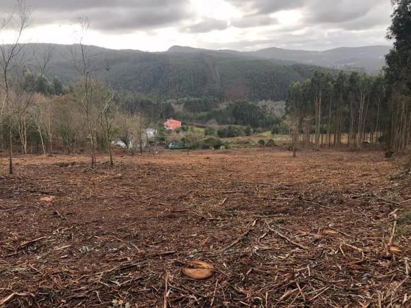 Terreno en Lugar Sabaido, 5