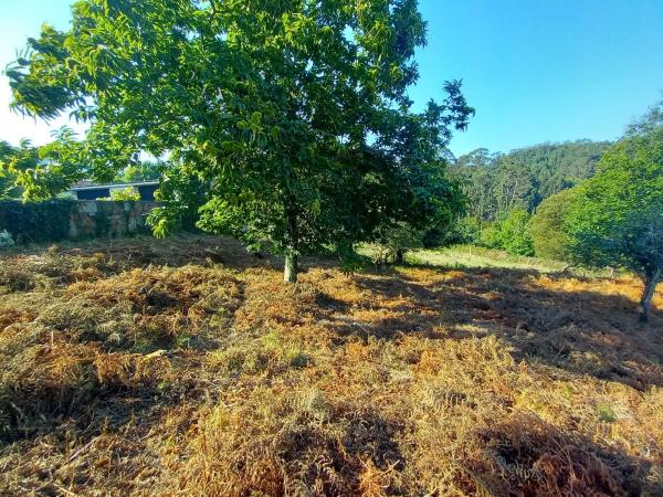 Terreno en camino de la Iglesia s/n  sn