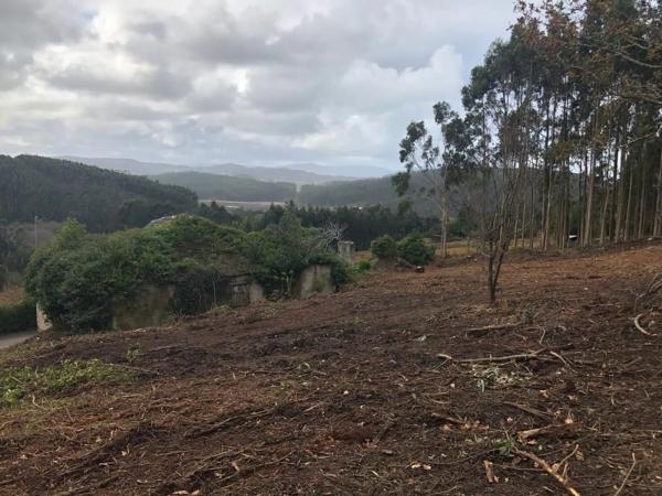 Terreno en Lugar Sabaido, 5