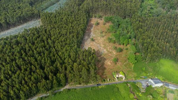 Terreno en Lugar Sabaido, 5