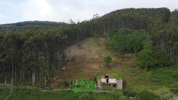 Terreno en Lugar Sabaido, 5
