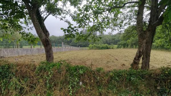 Terreno en Corvelle s/n