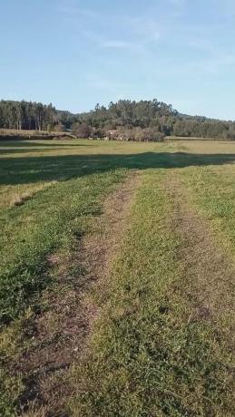 Terreno en Melide