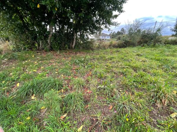 Terreno en camino Polígono 43 Parcela 356 s/n