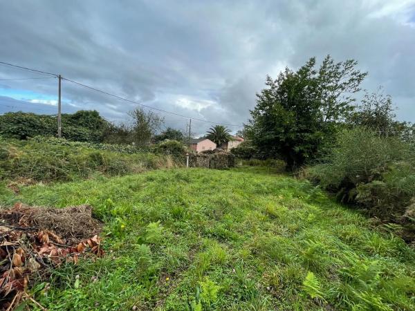 Terreno en camino Polígono 43 Parcela 356 s/n