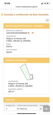 Terreno en camino Polígono 43 Parcela 356 s/n