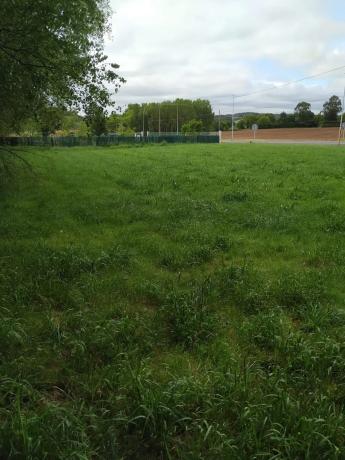 Terreno en Lg Empalme Lanza Polígono 505 Parcela 777 p Cabala. Mesia (a Coruña), 505 LGEMPALMELANZAPolgonoParcela