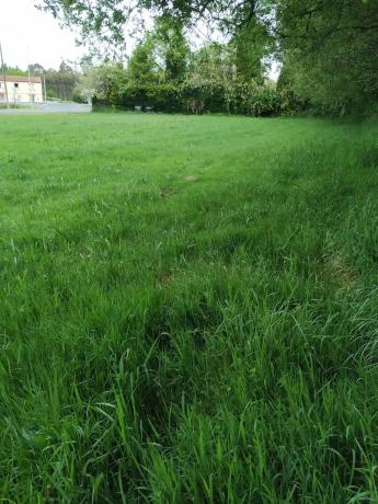 Terreno en Lg Empalme Lanza Polígono 505 Parcela 777 p Cabala. Mesia (a Coruña), 505 LGEMPALMELANZAPolgonoParcela