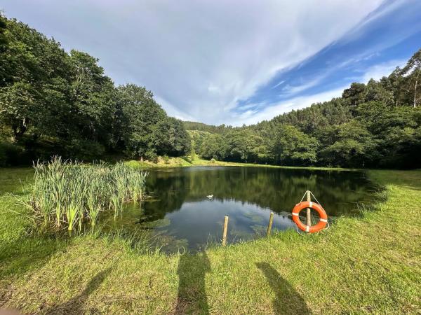 Terreno en Lugar a Ponte de Trasanquelos s/n