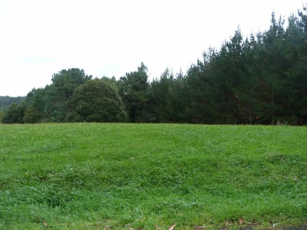 Terreno en Figueiredo, 1