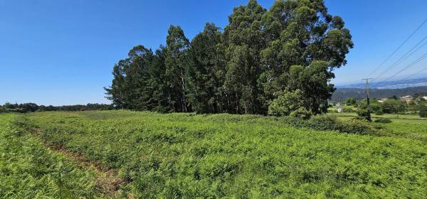 Terreno en Pena de eirexa s/n