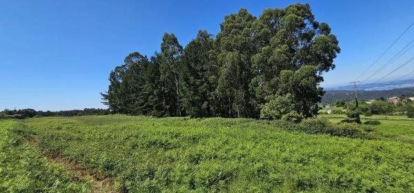 Terreno en Pena de eirexa s/n