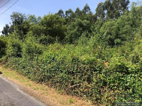 Terreno en Ac-542
