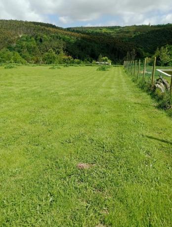 Terreno en o Moneco, 3