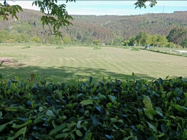 Terreno en o Moneco, 3