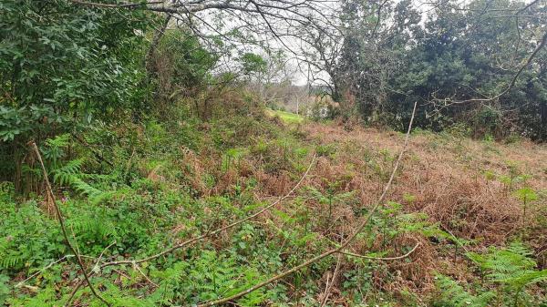 Terreno en Casal