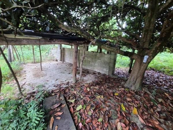 Terreno en calle Rollo, 42