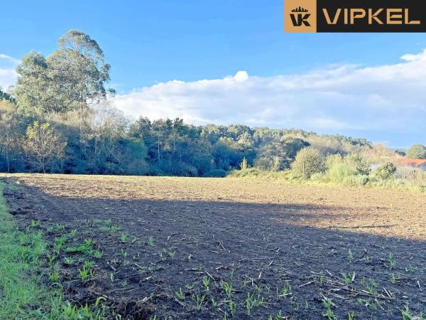 Terreno en Lugar Soutocalvo