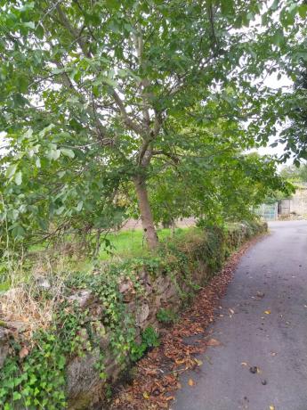 Terreno en Lugar Casal, 14