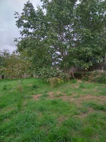 Terreno en Lugar Casal, 14