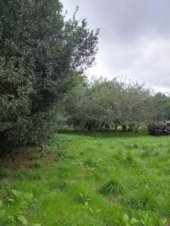 Terreno en Lugar Casal, 14
