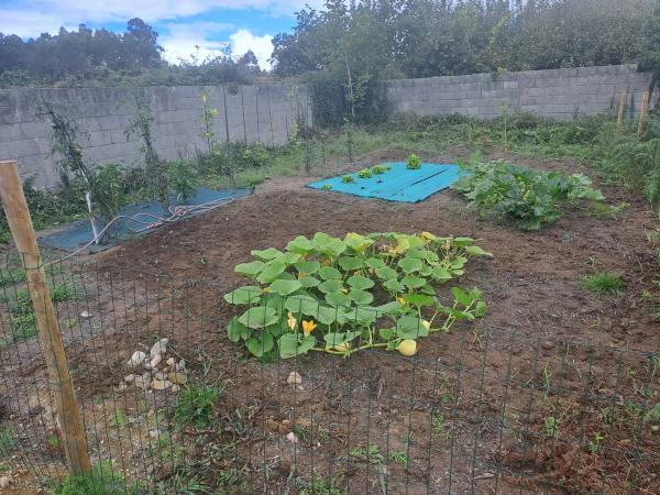 Terreno en Castrillón, 20