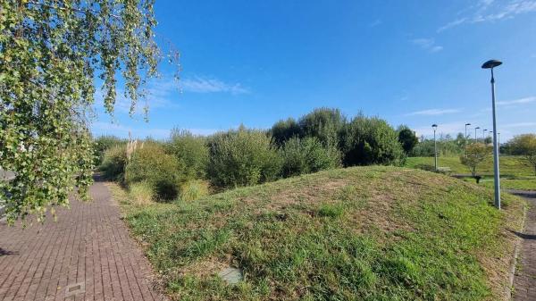 Terreno en calle As Camposas, 1