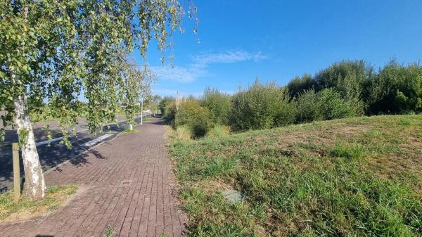 Terreno en calle As Camposas, 1