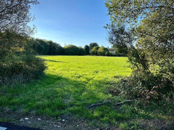 Terreno en a Castellana, km 1