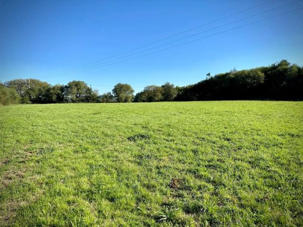 Terreno en a Castellana, km 1