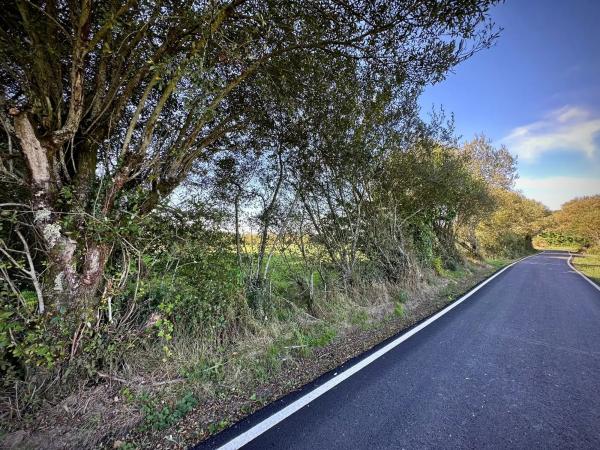 Terreno en a Castellana, km 1