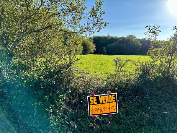 Terreno en a Castellana, km 1