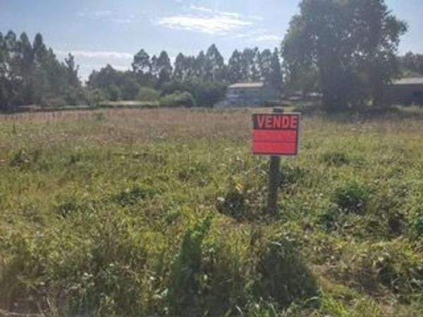 Terreno en montesalgueiro s/n
