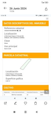 Terreno en cesuras s/n