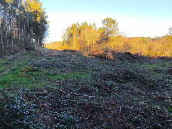 Terreno en cesuras s/n