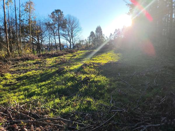 Terreno en cesuras s/n