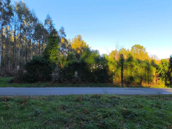 Terreno en cesuras s/n