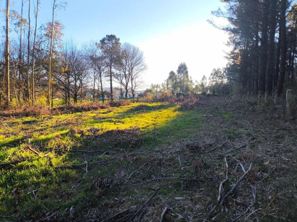 Terreno en cesuras s/n