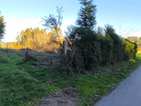 Terreno en cesuras s/n