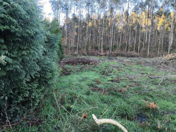 Terreno en cesuras s/n