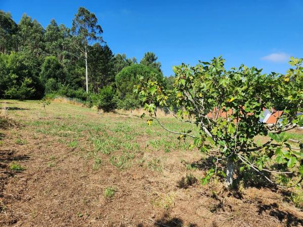 Terreno en Burricios s/n