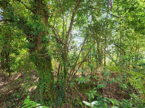 Terreno en Burricios s/n