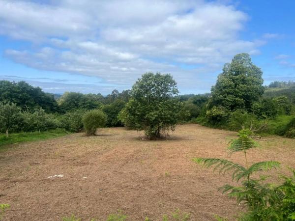 Terreno en Aldea Cachufeira