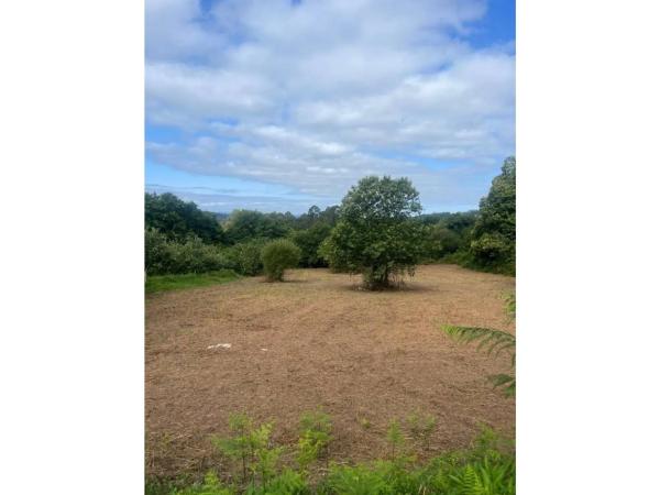 Terreno en Aldea Cachufeira