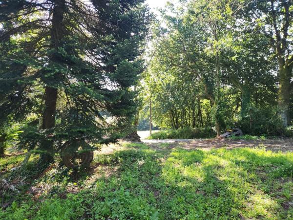 Terreno en Trasanquelos s/n